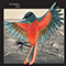 Avian-I'm Kingfisher