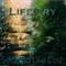 Second Life Lost - LifeCry