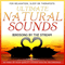 Ultimate Natural Sounds - Birdsong By The Stream