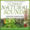 Ultimate Natural Sounds - Soothing Windchimes