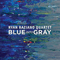 Blue into Gray - Raziano, Ryan (Ryan Raziano Quartet)