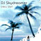 Chill Out - DJ Skydreamer