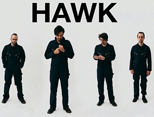 HAWK (USA, PA)