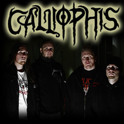 Calliophis