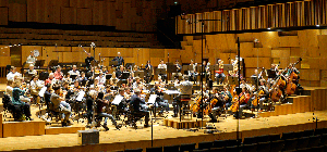 Malmo Symphony Orchestra