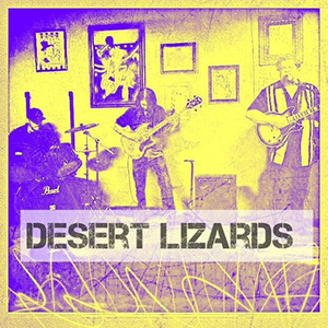 Desert Lizards