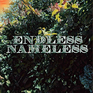 Endless, Nameless