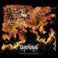 Blasphemous - Emerging Through Fire