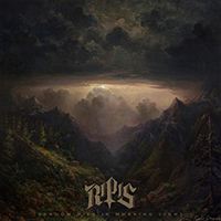 Ripis - Shadow Dies In Morning Light