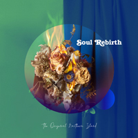 The Original Northern Island - Soul Rebirth