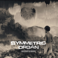 Symmetric Organ - Amazing Disgrace 